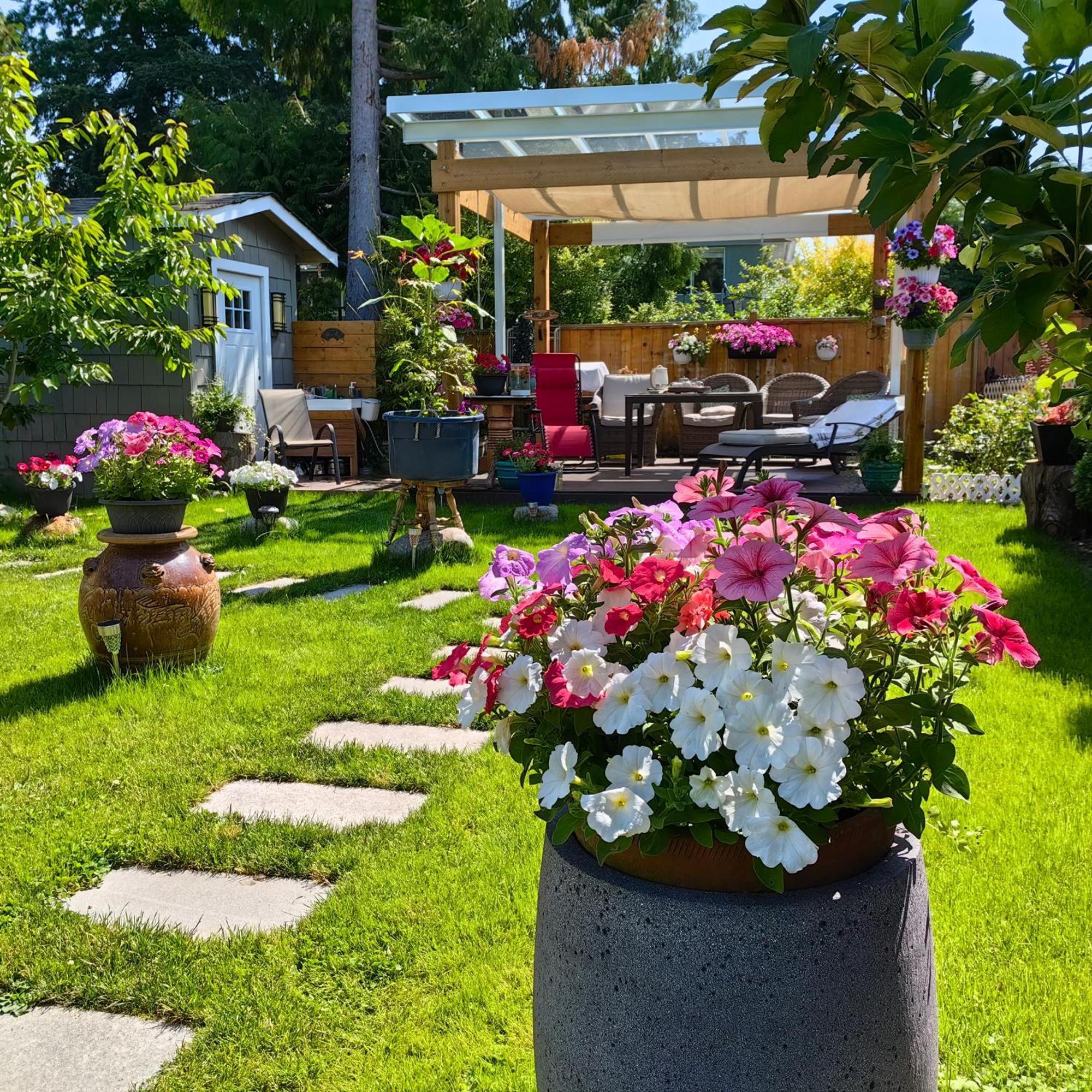 Romantic Homestay Coquitlam Exterior photo